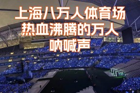 易游体育小组-精彩瞬间不可错过，现场球迷尖叫不断